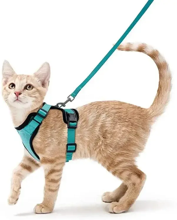Cat Harness and Leash
