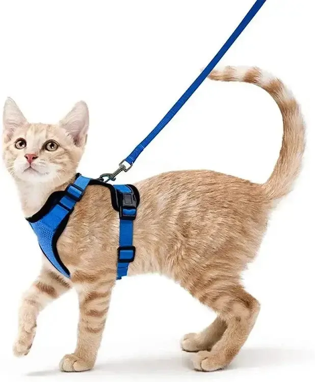 Cat Harness and Leash