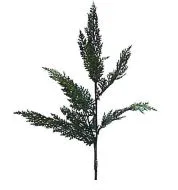 Cedar Spray