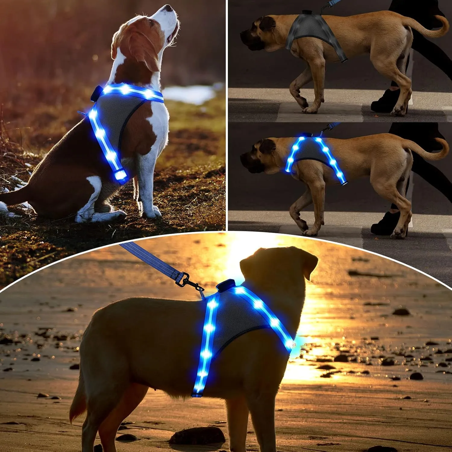 ChalkLit Light Up Dog Harness, Reflective Led Dog Harness Glow-in-The-Dark for Night Walking, USB Rechargeable Lighted Dog Safety Vest for Medium Dogs, Adjustable Soft Mesh No Pull (Blue, Medium)