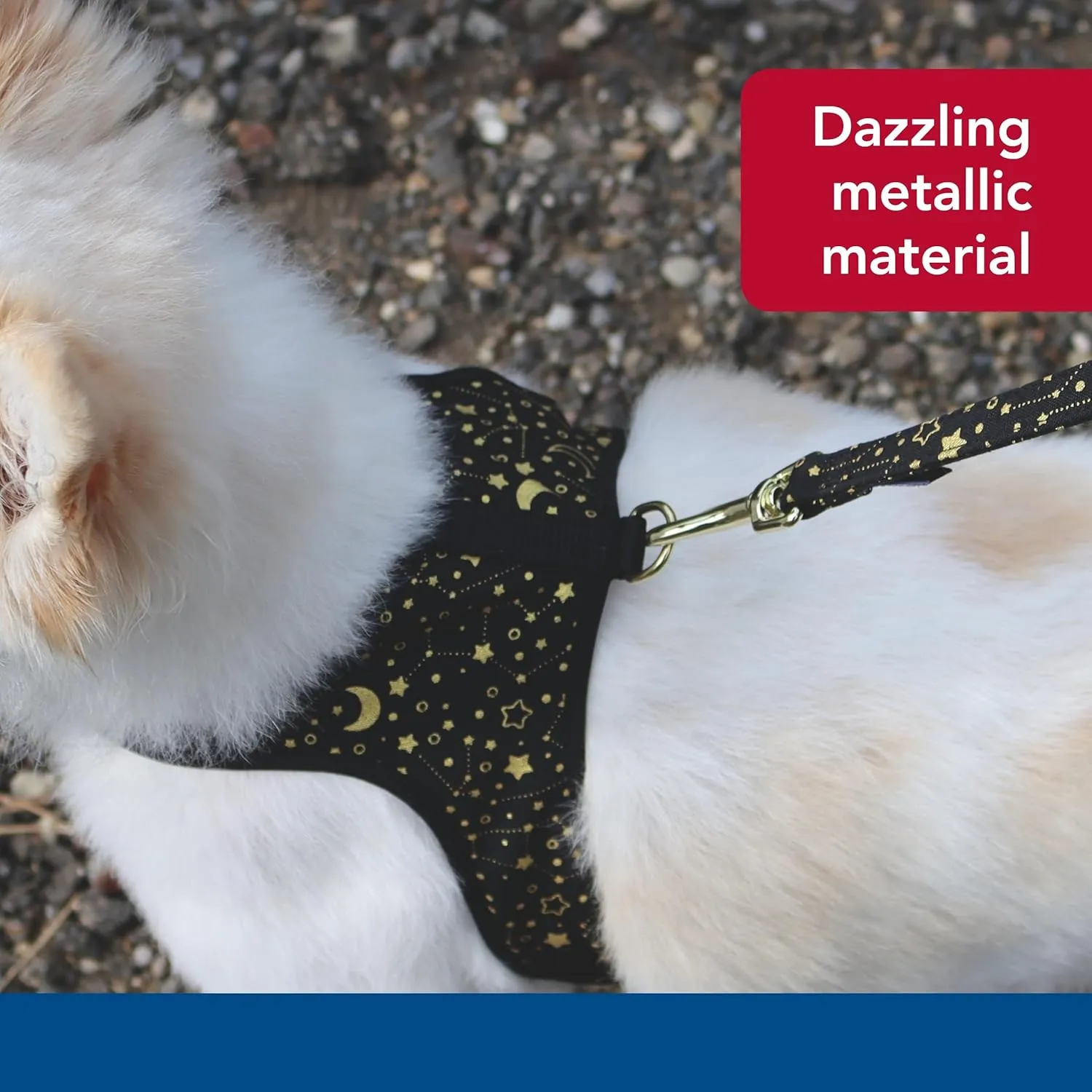 Coastal Pet Accent Metallic Adjustable Dog Harness - Adjustable Fit for Comfort with Secure Metal Buckle - Durable & Lightweight Dog Harness - Bright Black Galaxy, Extra Small - 5/8" x 14"-16"