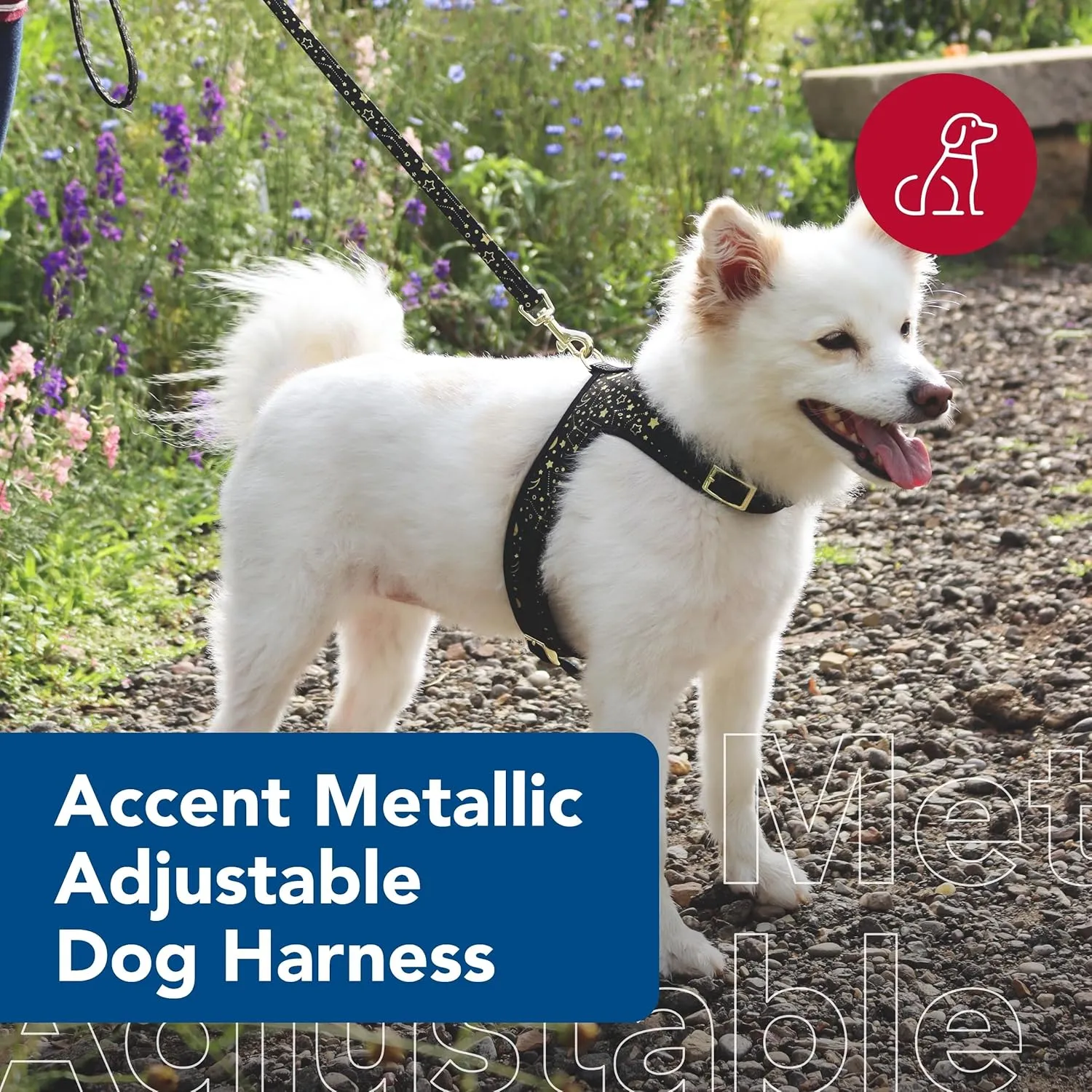 Coastal Pet Accent Metallic Adjustable Dog Harness - Adjustable Fit for Comfort with Secure Metal Buckle - Durable & Lightweight Dog Harness - Bright Black Galaxy, Extra Small - 5/8" x 14"-16"