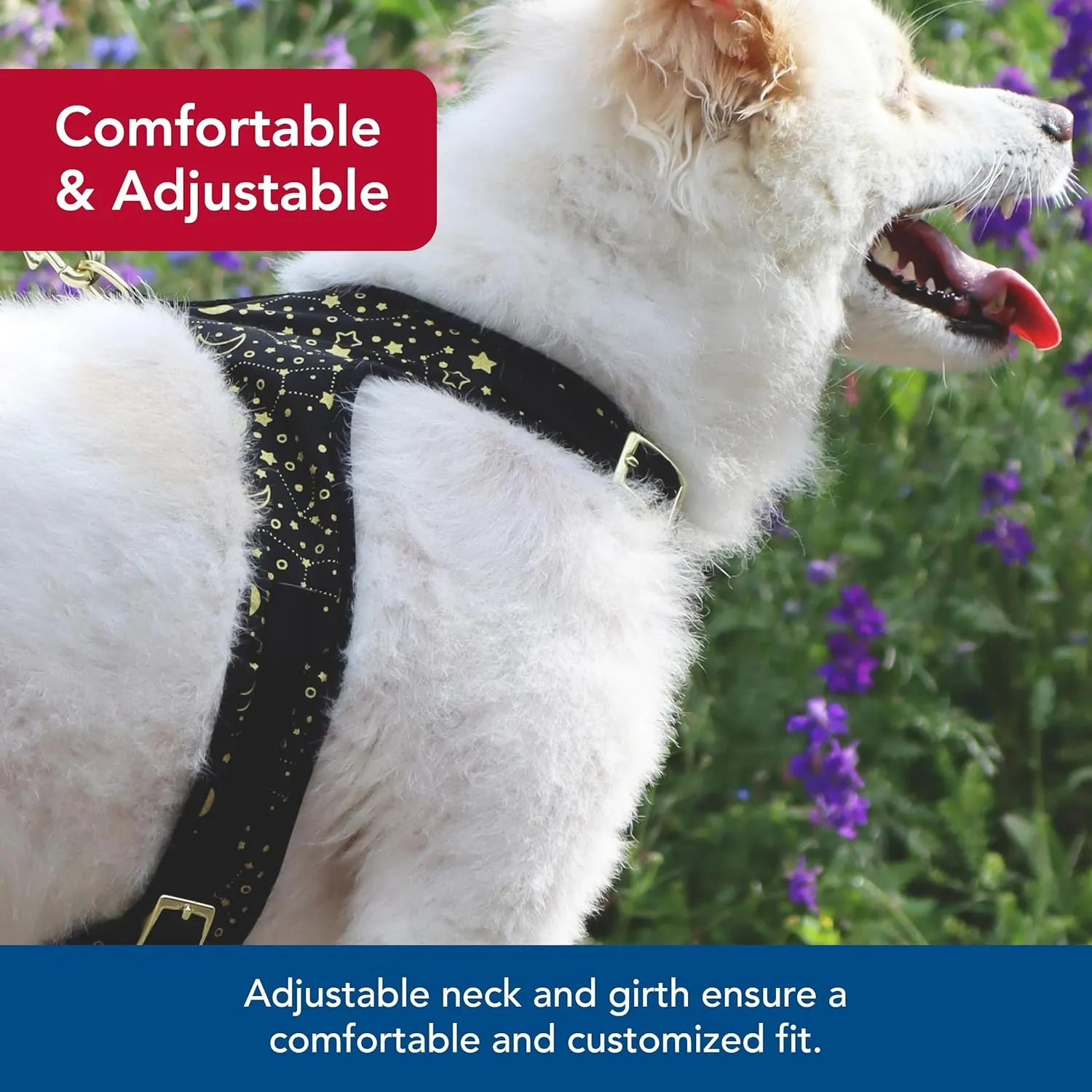 Coastal Pet Accent Metallic Adjustable Dog Harness - Adjustable Fit for Comfort with Secure Metal Buckle - Durable & Lightweight Dog Harness - Bright Black Galaxy, Extra Small - 5/8" x 14"-16"