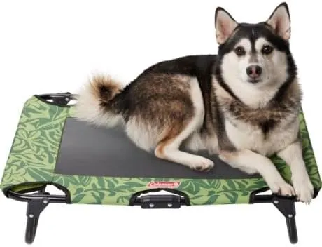 Coleman Fold and Go Pet Cot- Up to 50 Lbs - Green Pattern