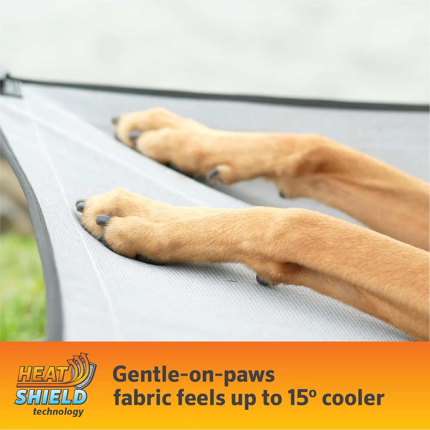 Coolaroo On-The-Go Elevated Dog Bed Kit – Portable & Cooling Travel Cot with HeatShield Fabric for Small Dogs, Lightweight & Compact, Includes Matching Carry Bag & Everglade Green Bonus Cover, Small