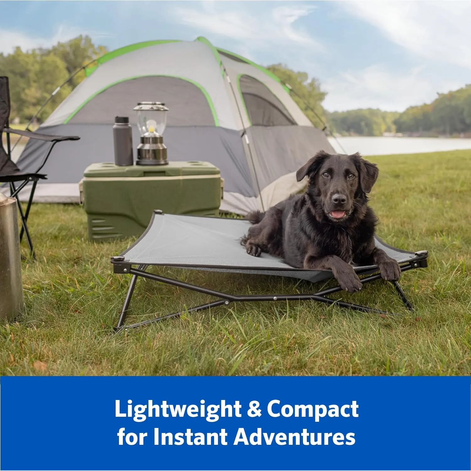 Coolaroo On-The-Go Elevated Dog Bed Kit – Portable & Cooling Travel Cot with HeatShield Fabric for Small Dogs, Lightweight & Compact, Includes Matching Carry Bag & Everglade Green Bonus Cover, Small