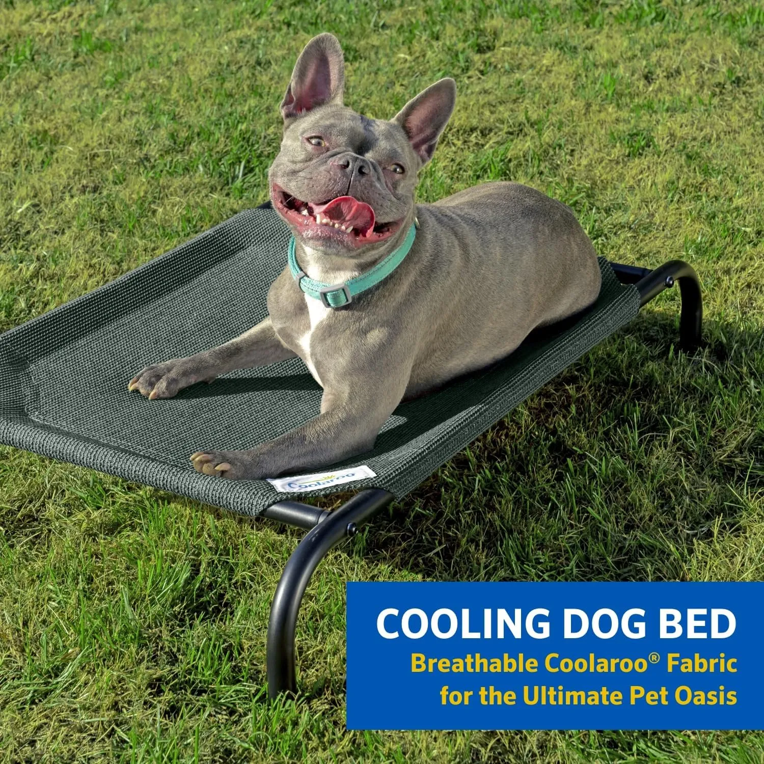 Coolaroo Original Elevated Dog Bed - Breathable Off-The-Ground Pet Bed with Cooling Fabric, Joint Relief & Moisture-Resistant Fabric, 100% Recyclable, Easy Clean, Brunswick Green, Extra Large
