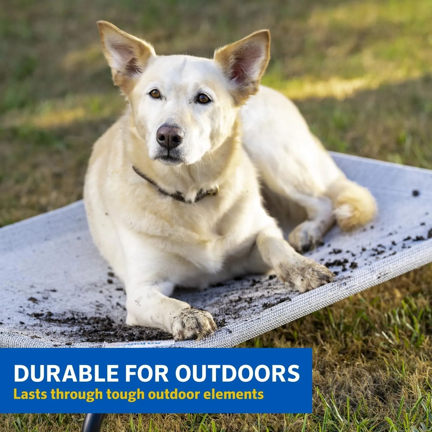 Coolaroo Original Elevated Dog Bed - Breathable Off-The-Ground Pet Bed with Cooling Fabric, Joint Relief & Moisture-Resistant Fabric, 100% Recyclable, Easy Clean, Brunswick Green, Extra Large