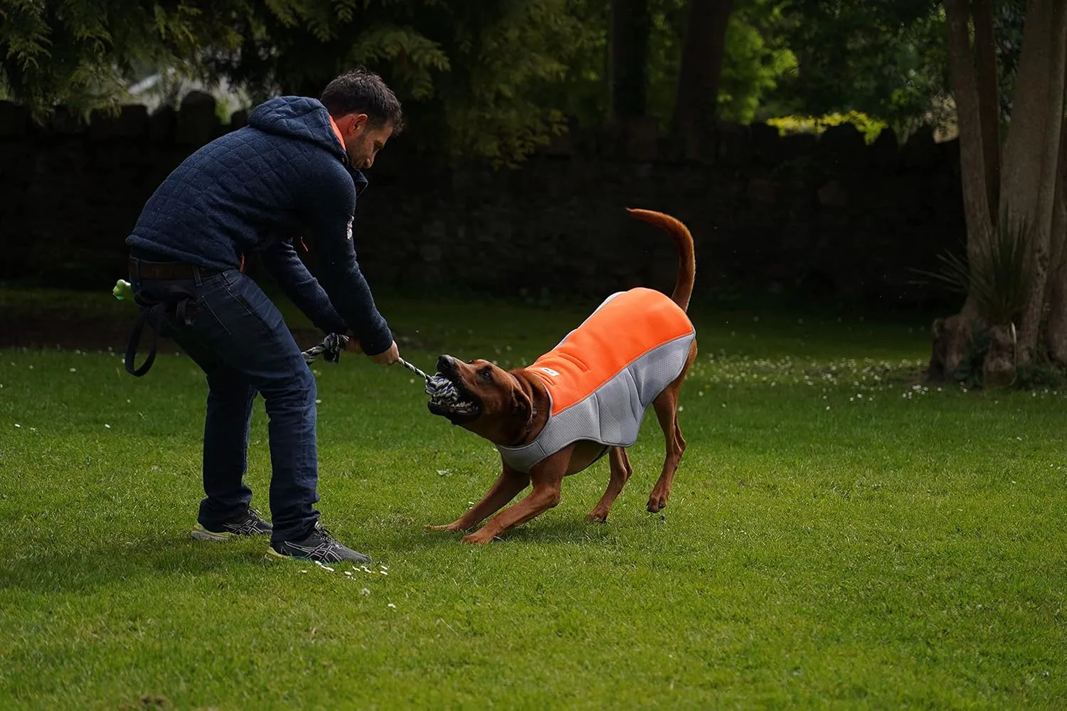 Cooling Vest for Small, Medium to XLarge Dogs - Evaporative Vest for Hot Summer Days - Adjustable Cooling Jacket with Reflective Strips (Orange/Grey, XLarge)