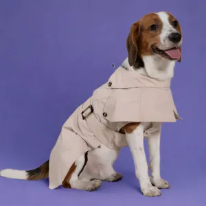 Cyberry Windbreaker - Tan