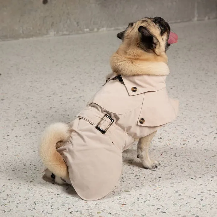 Cyberry Windbreaker - Tan