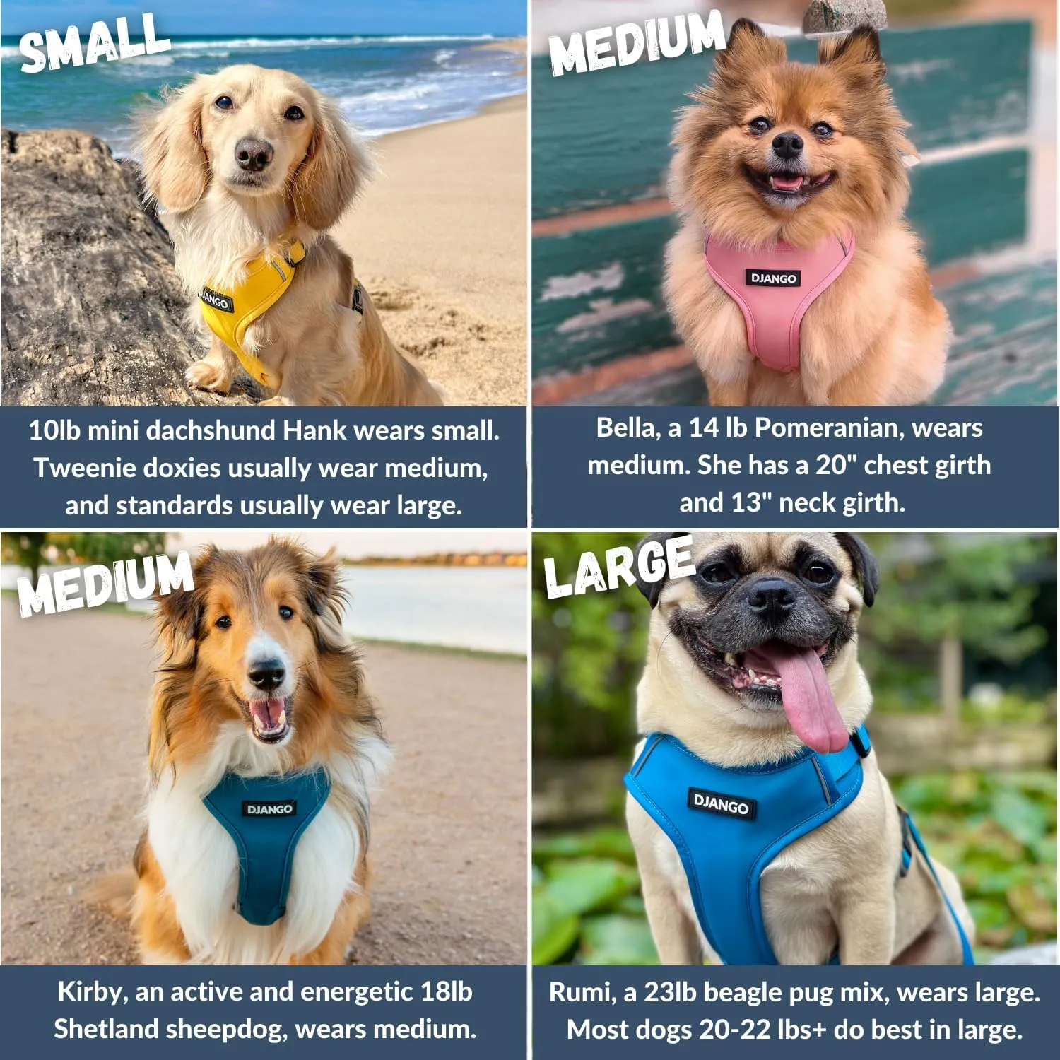 DJANGO Adventure Dog Harness - Stylish and Durable Small Dog Harness for Outdoor Adventures and Everyday Wear - Indigo Blue Neoprene Adjustable Harness for Dogs with Reflective Piping & Brass D-Ring