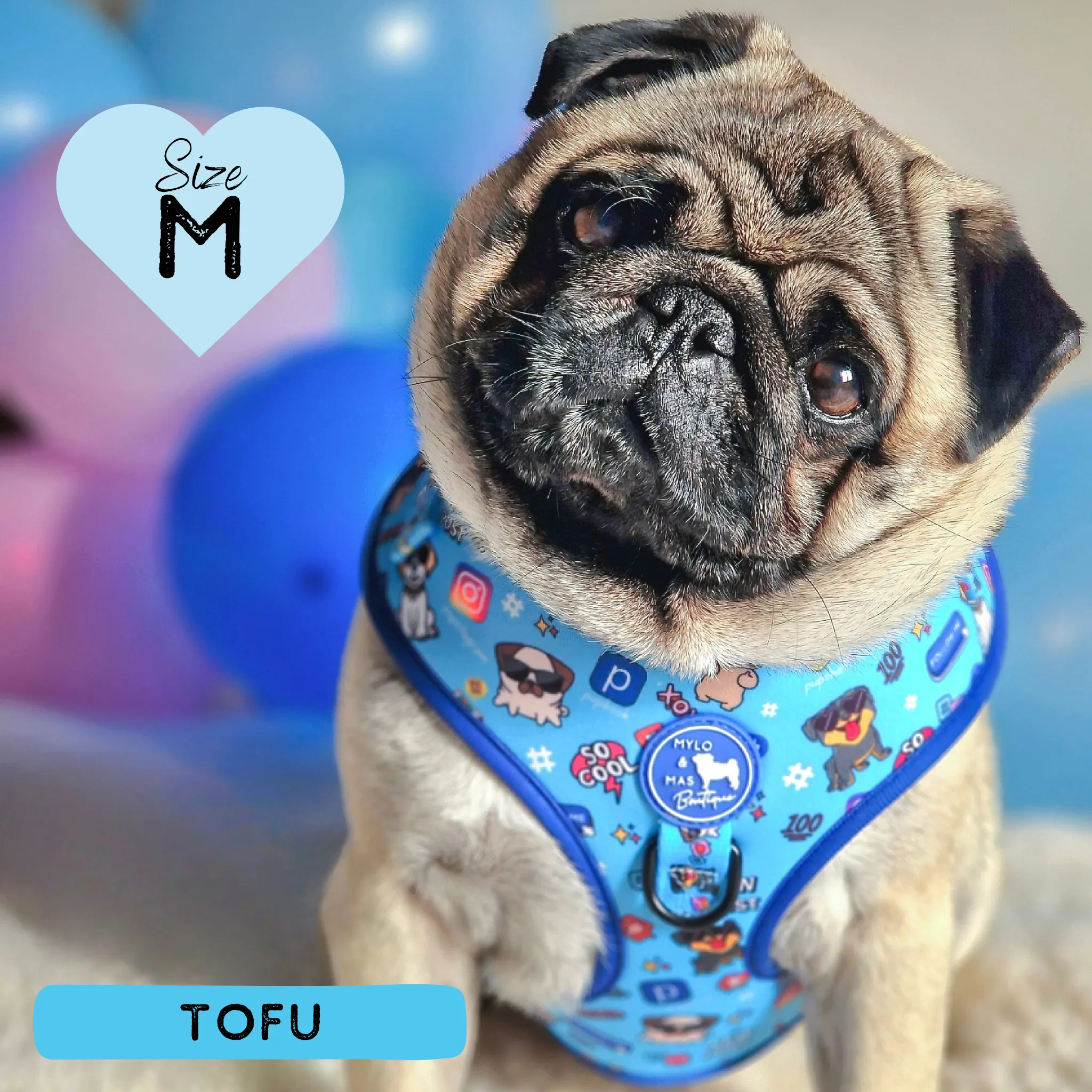 Dog Adjustable Harness - Social Media Star Blue