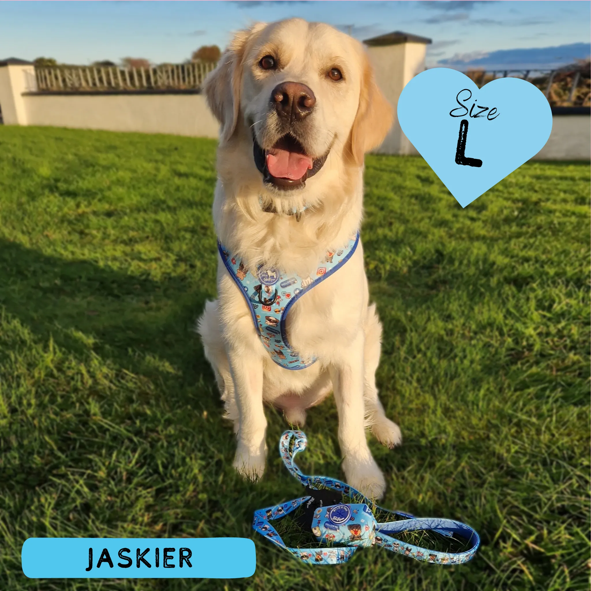 Dog Adjustable Harness - Social Media Star Blue