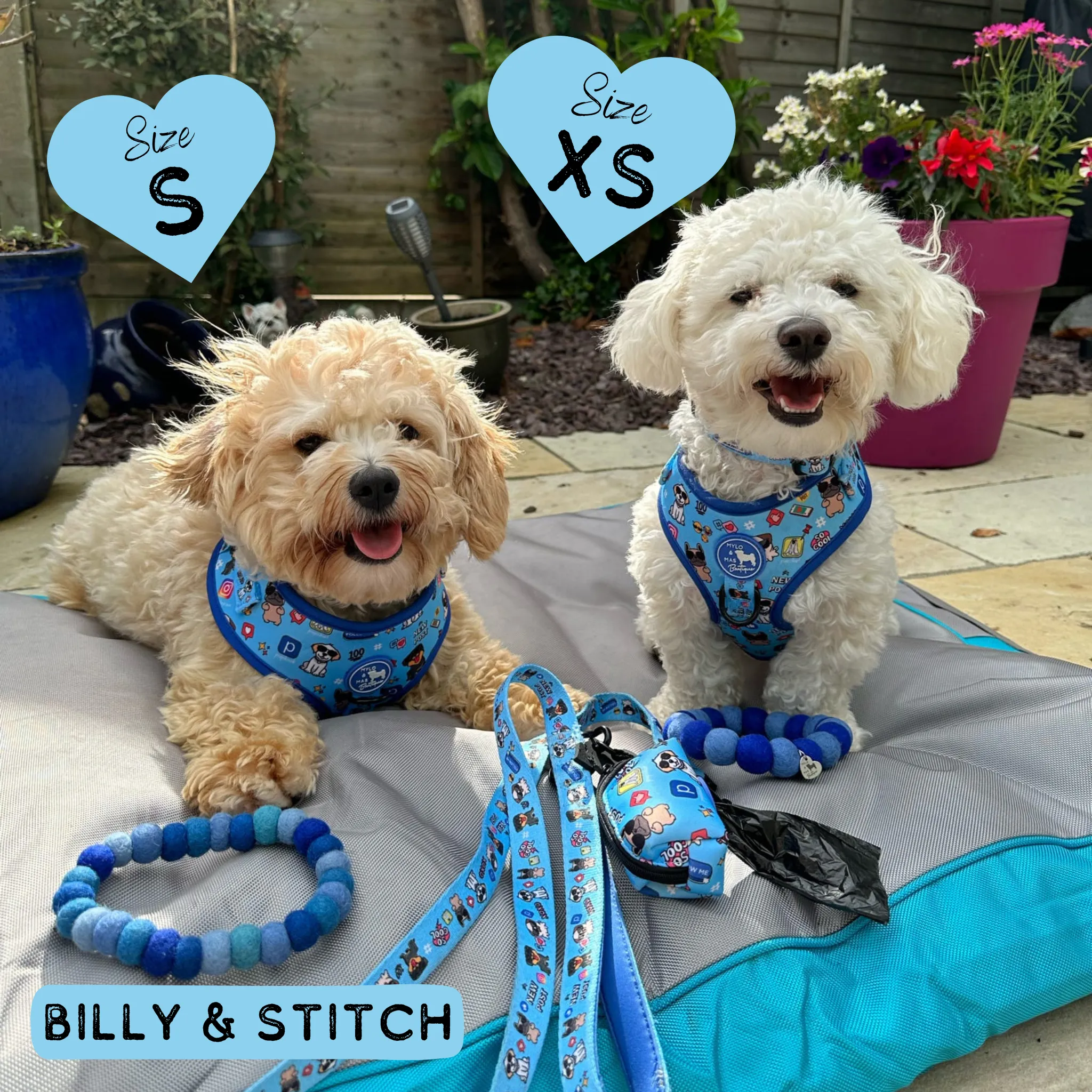 Dog Adjustable Harness - Social Media Star Blue