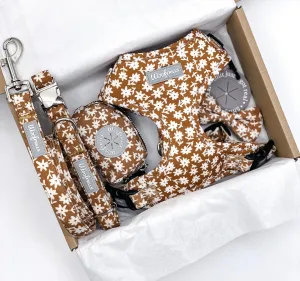 Dog harness , Dog collar and lead set | BUNDLE OF YOUR CHOICE | Bloom me away