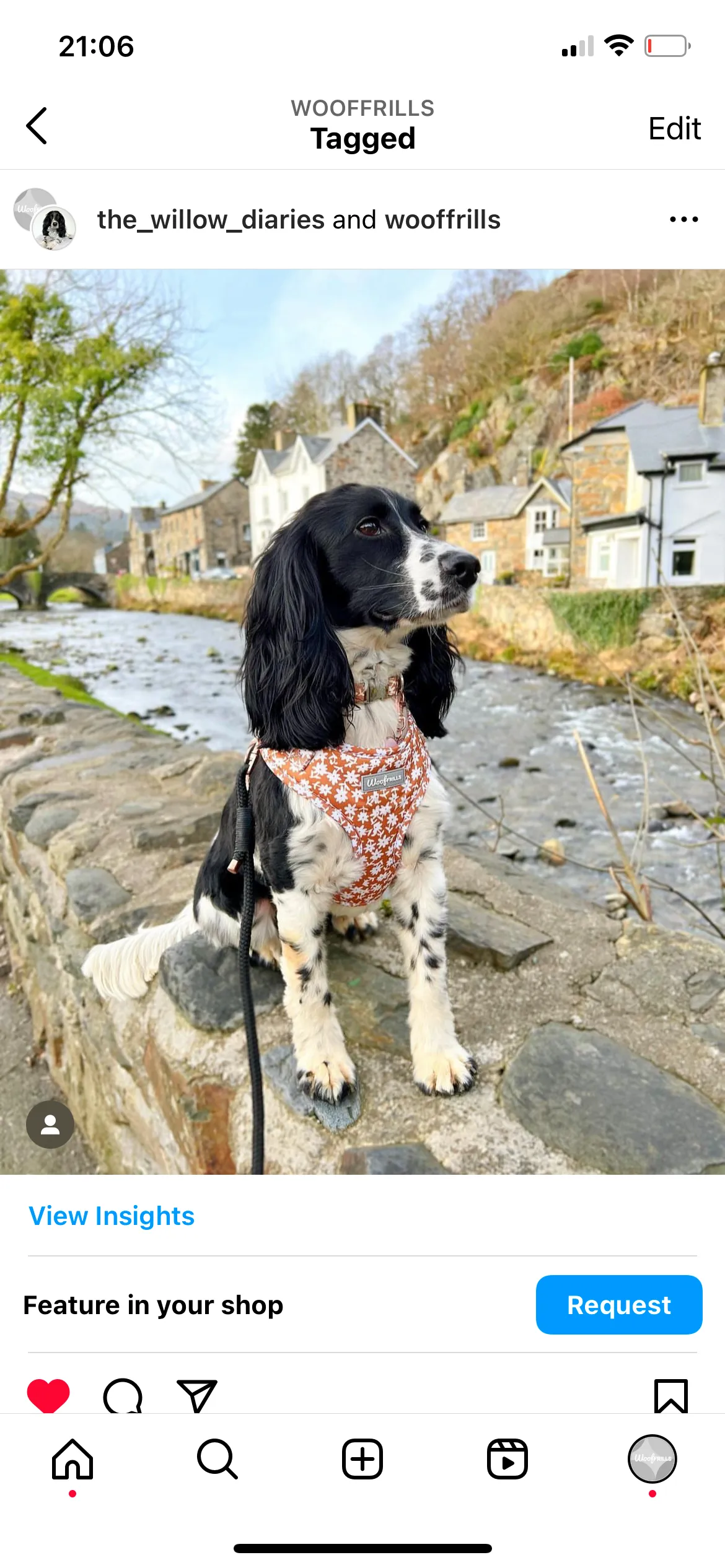 Dog harness , Dog collar and lead set | BUNDLE OF YOUR CHOICE | Bloom me away