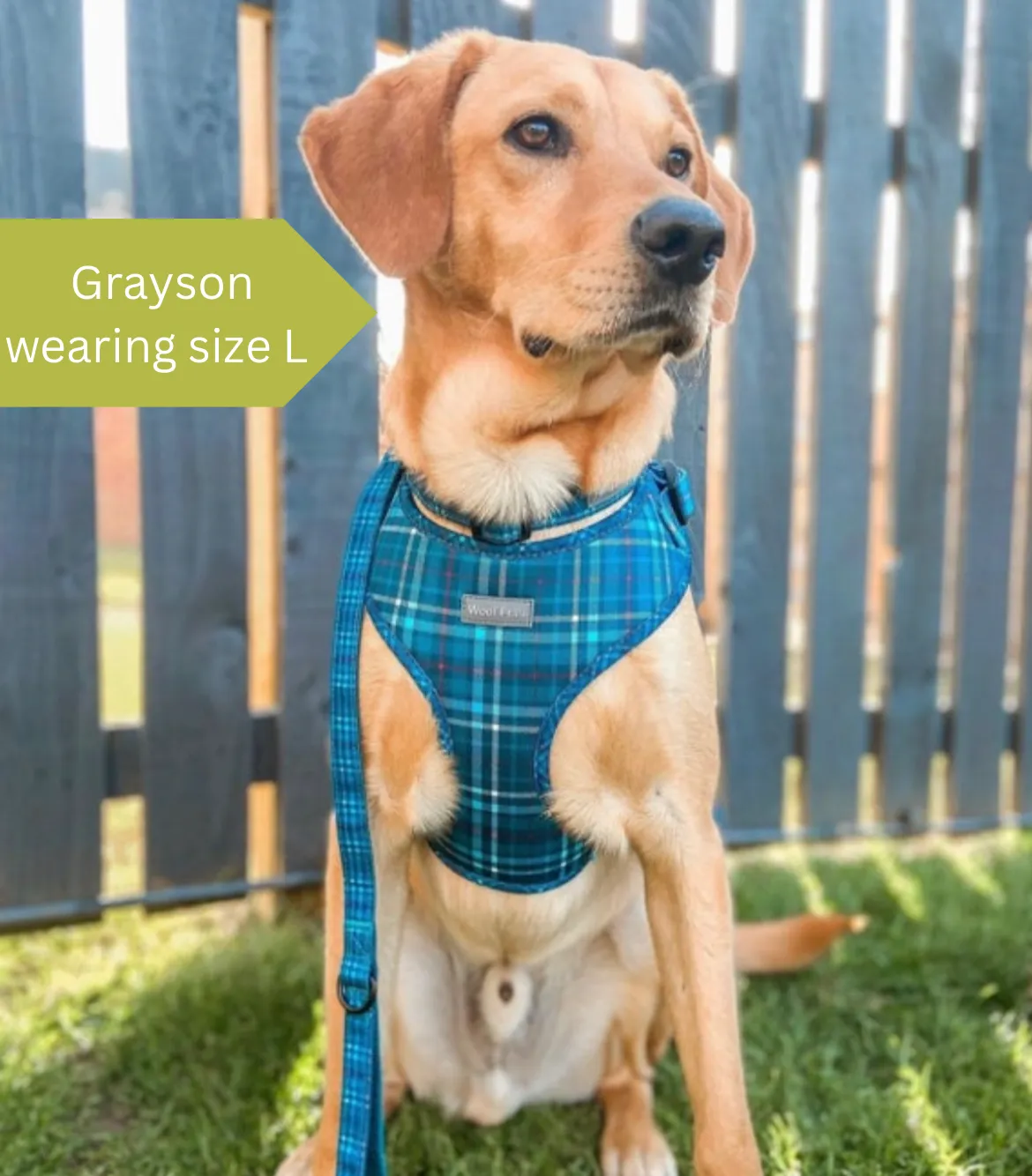 Dog harness, Dog collar and lead set | BUNDLE OF YOUR CHOICE | Plaid Date