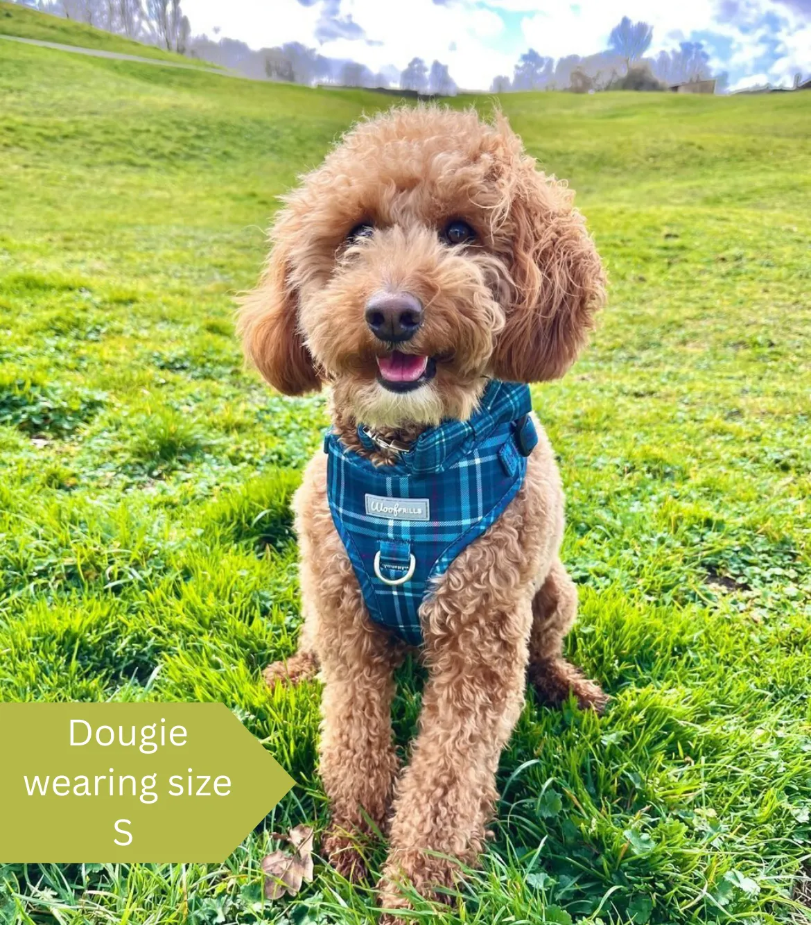 Dog harness, Dog collar and lead set | BUNDLE OF YOUR CHOICE | Plaid Date