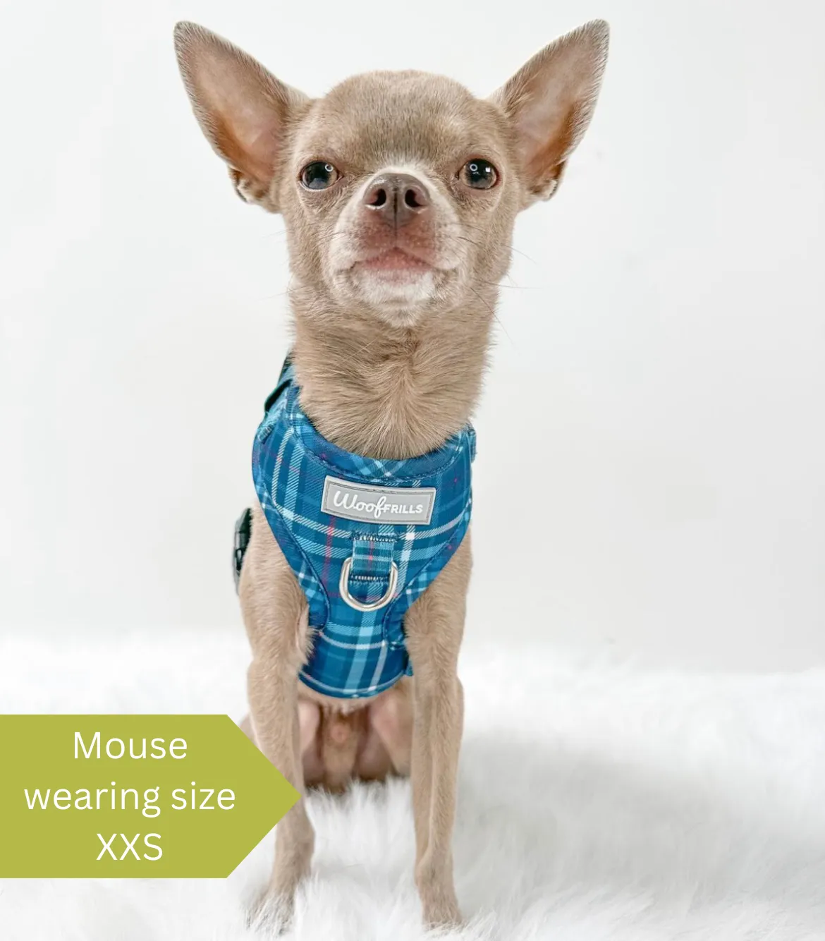 Dog harness, Dog collar and lead set | BUNDLE OF YOUR CHOICE | Plaid Date
