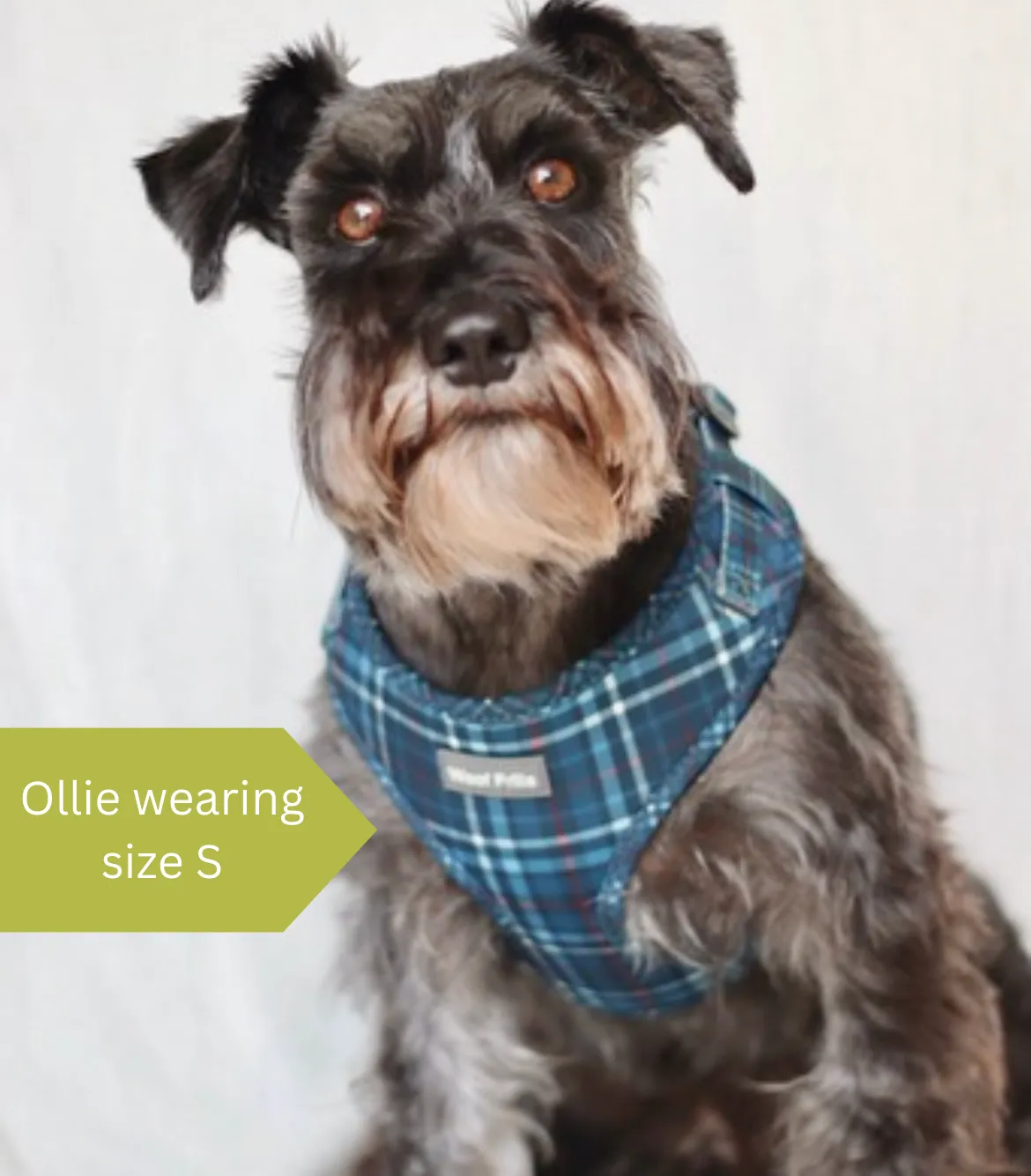 Dog harness, Dog collar and lead set | BUNDLE OF YOUR CHOICE | Plaid Date