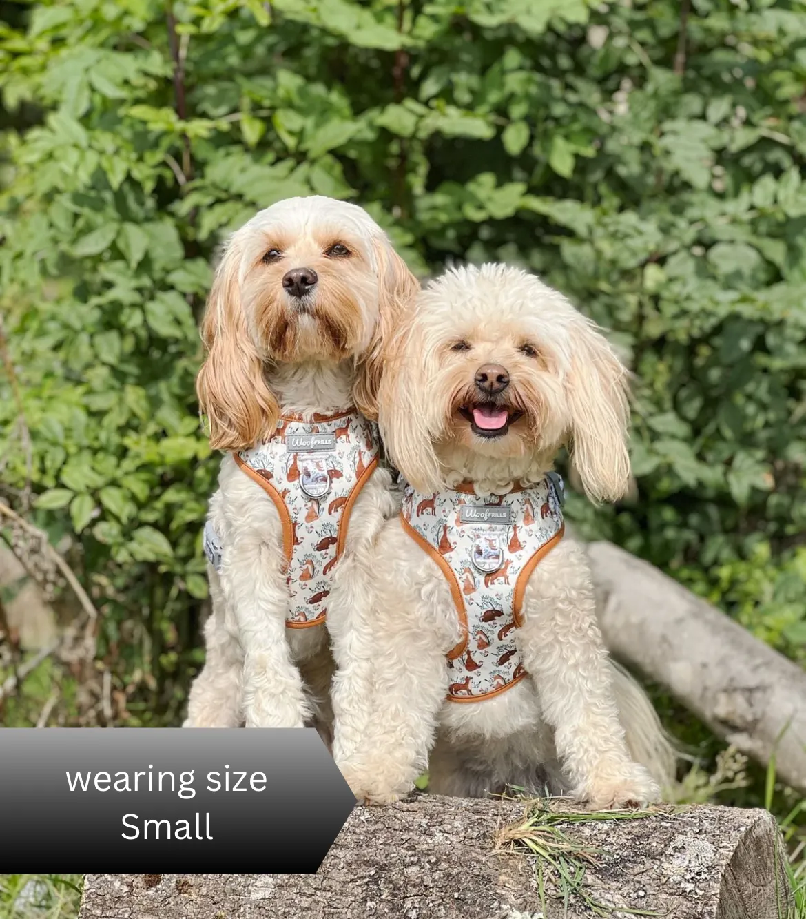 Dog Harness | Enchanted Fox