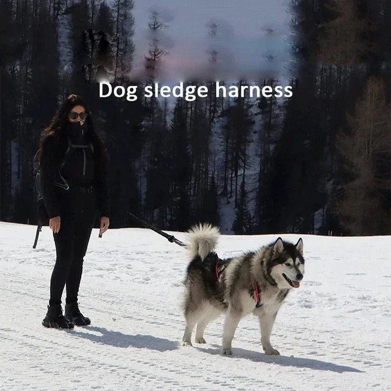 Dog Harness Mushing X Back Training Vest