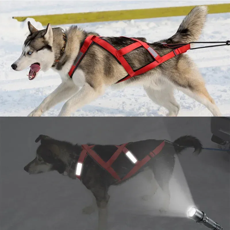 Dog Harness Mushing X Back Training Vest