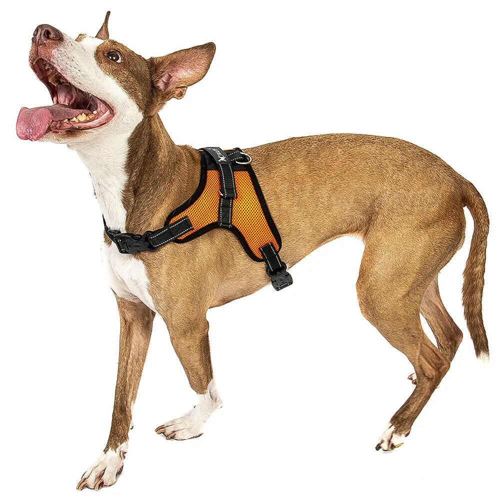 Dog Harness - No Pull Adjustable Reflective Vest - XS S M L XXl