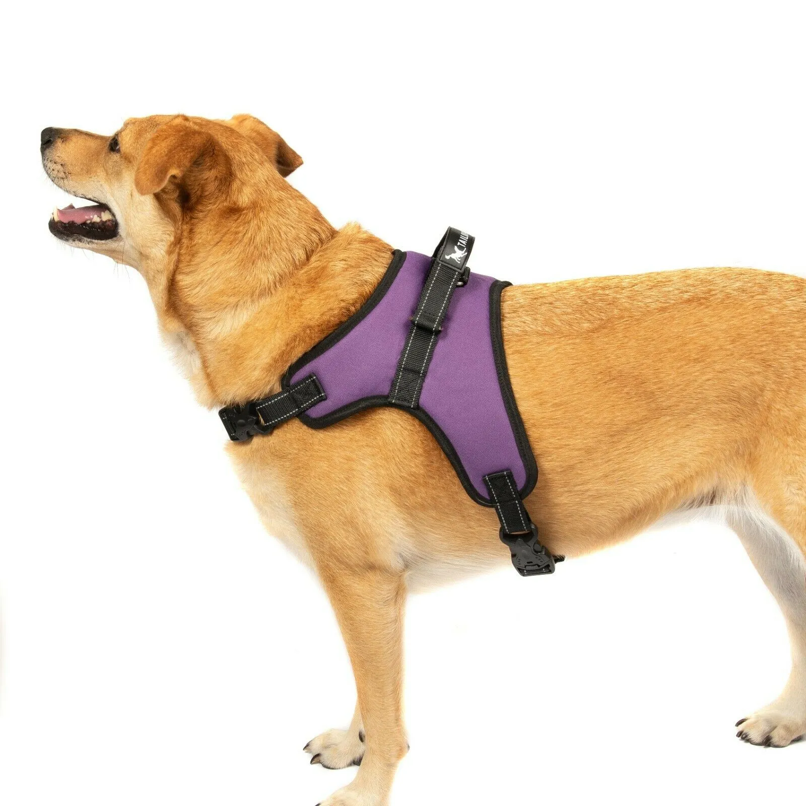 Dog Harness - No Pull Adjustable Reflective Vest - XS S M L XXl