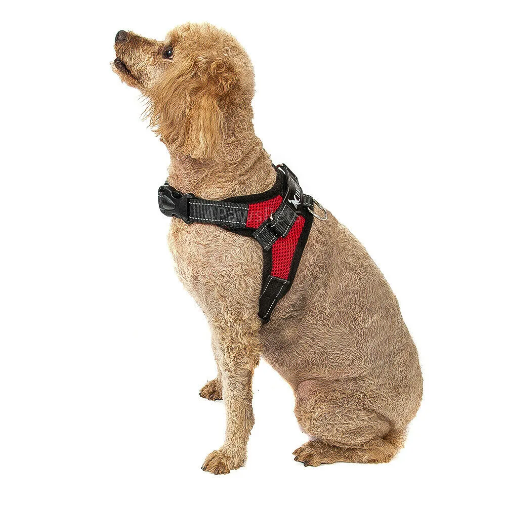 Dog Harness - No Pull Adjustable Reflective Vest - XS S M L XXl