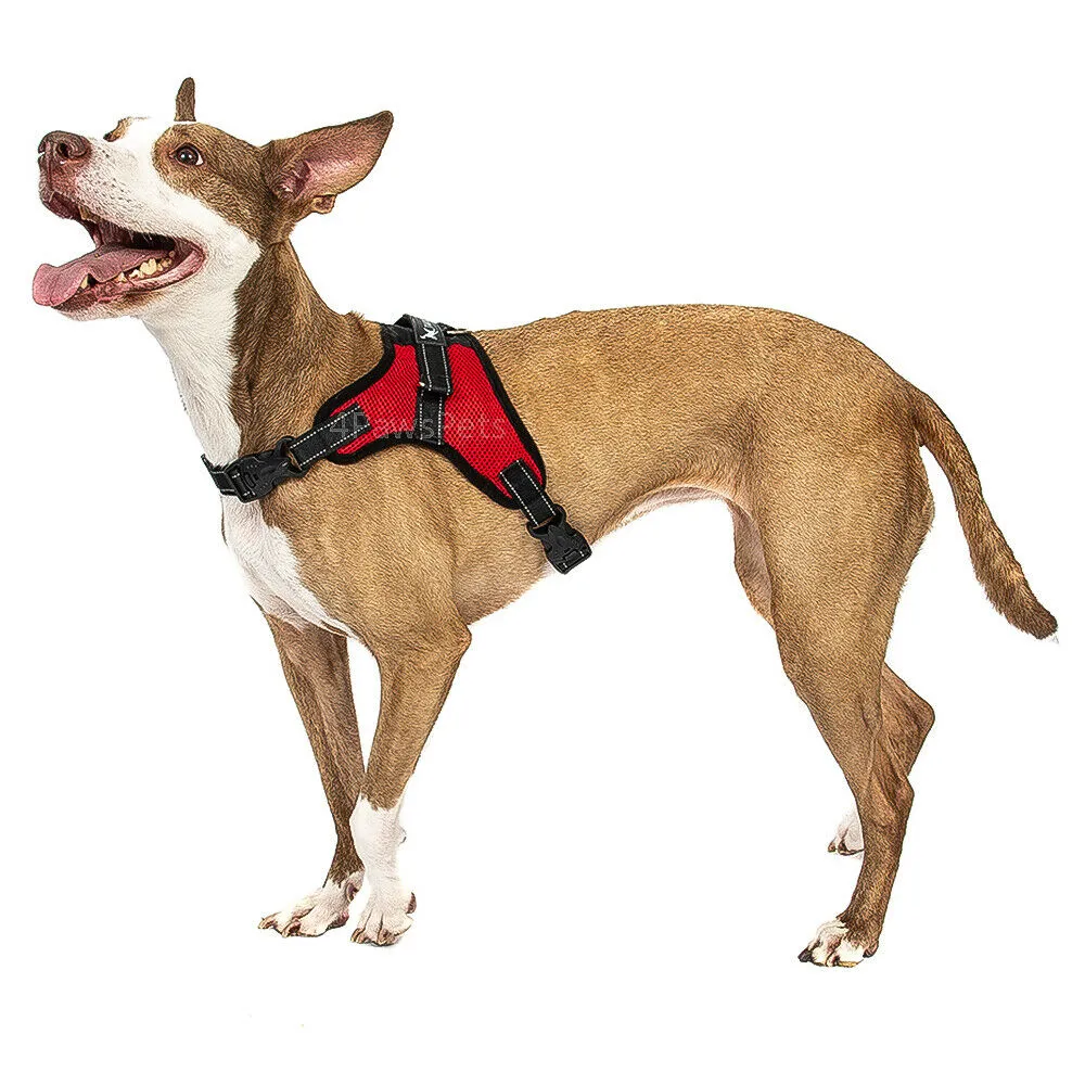 Dog Harness - No Pull Adjustable Reflective Vest - XS S M L XXl