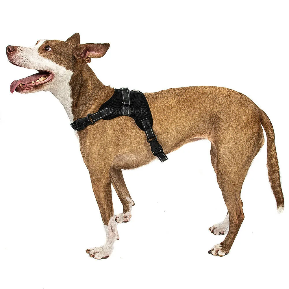 Dog Harness - No Pull Adjustable Reflective Vest - XS S M L XXl