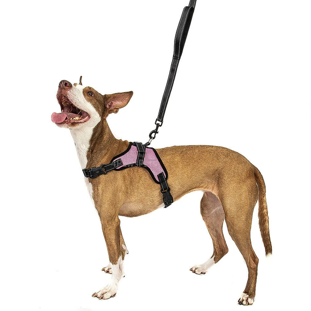 Dog Harness - No Pull Adjustable Reflective Vest - XS S M L XXl