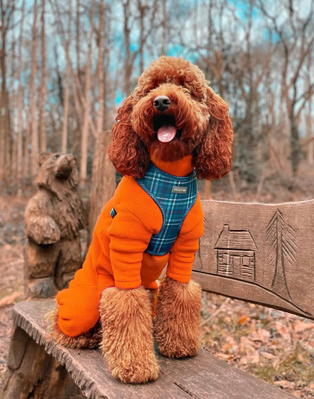 Dog Harness | Plaid Date