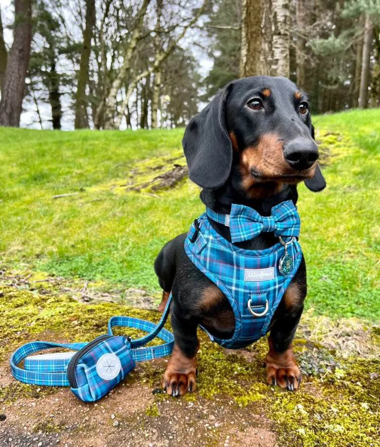 Dog Harness | Plaid Date