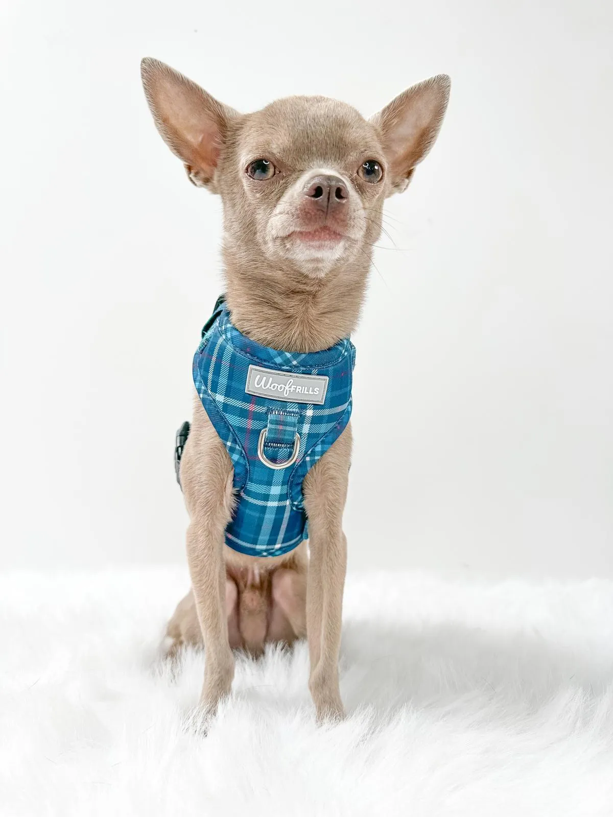 Dog Harness | Plaid Date