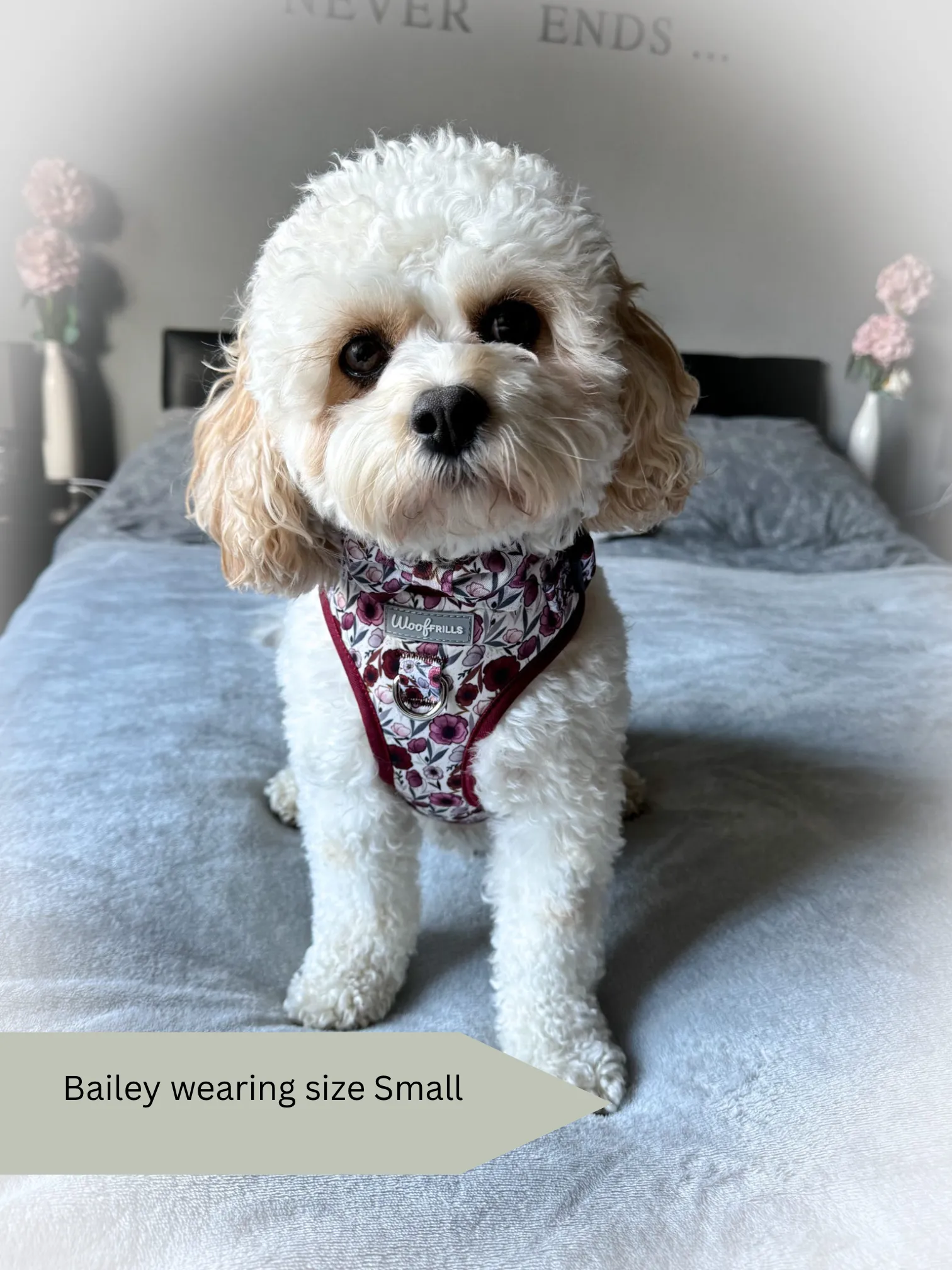 Dog Harness | Poppy Power