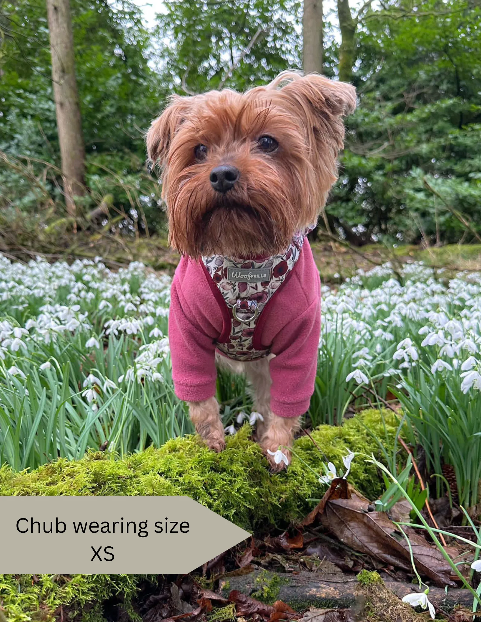 Dog Harness | Poppy Power