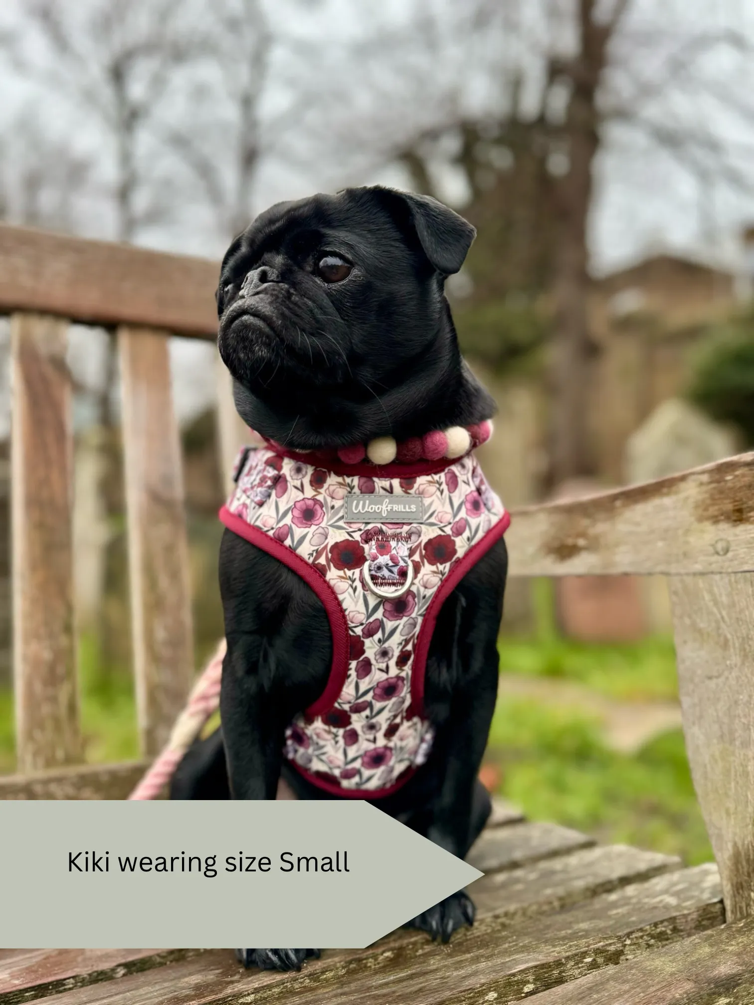 Dog Harness | Poppy Power