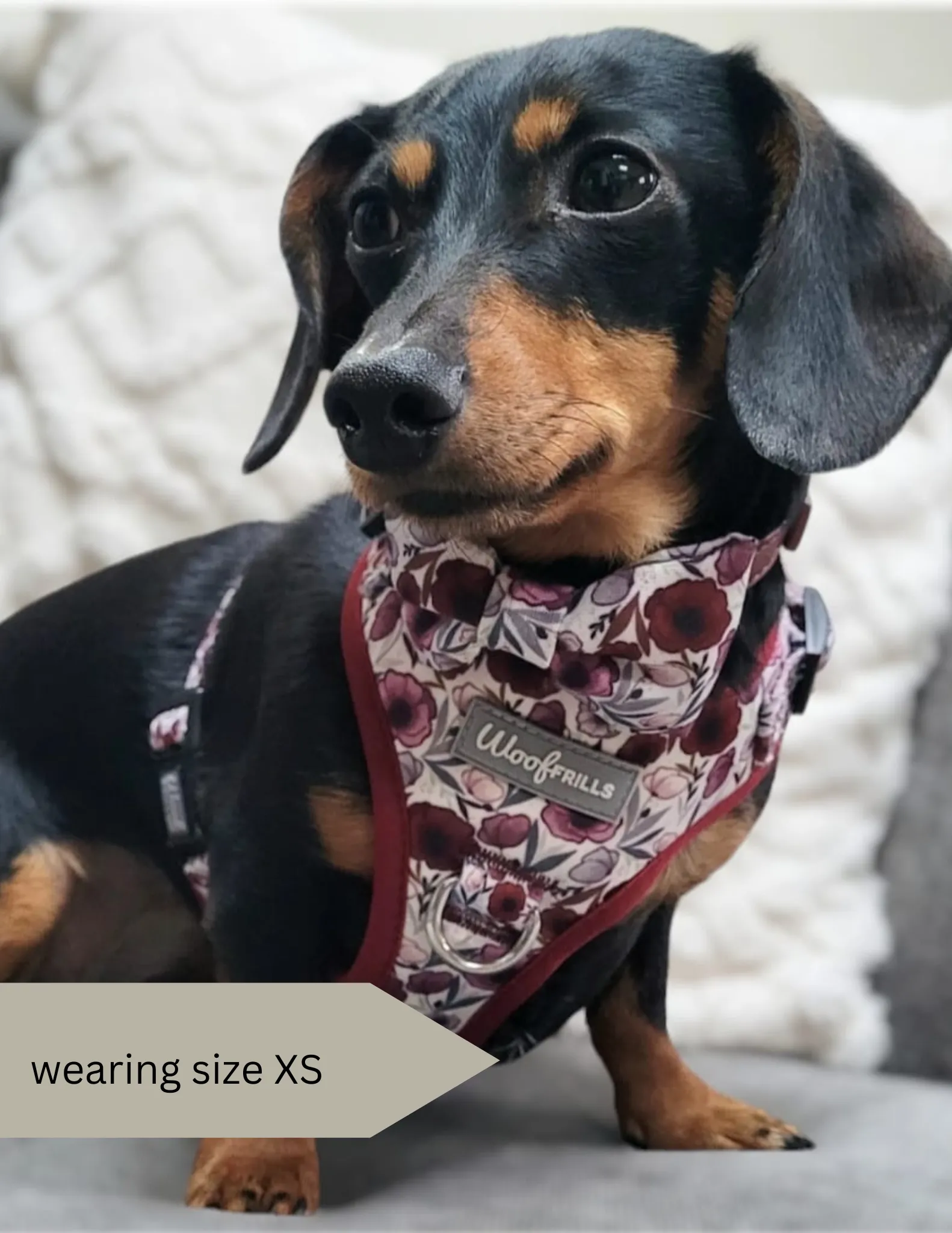 Dog Harness | Poppy Power