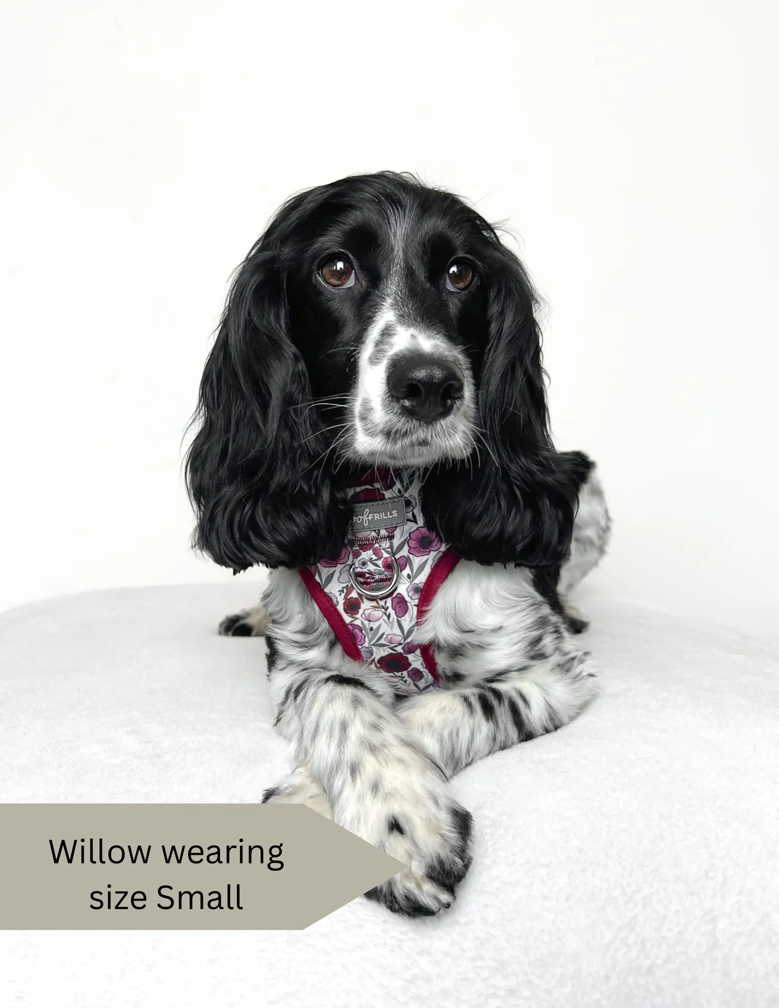 Dog Harness | Poppy Power