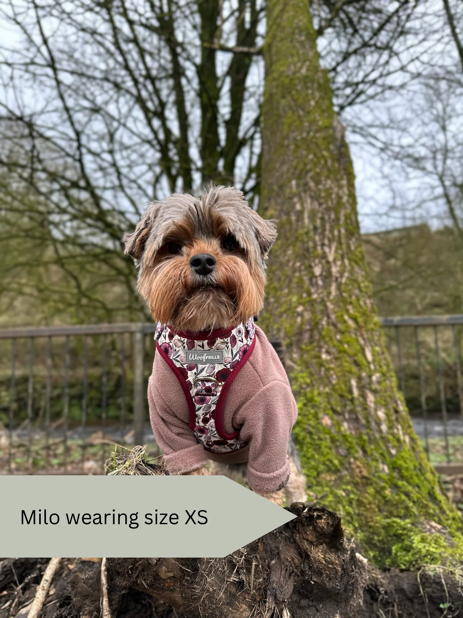 Dog Harness | Poppy Power