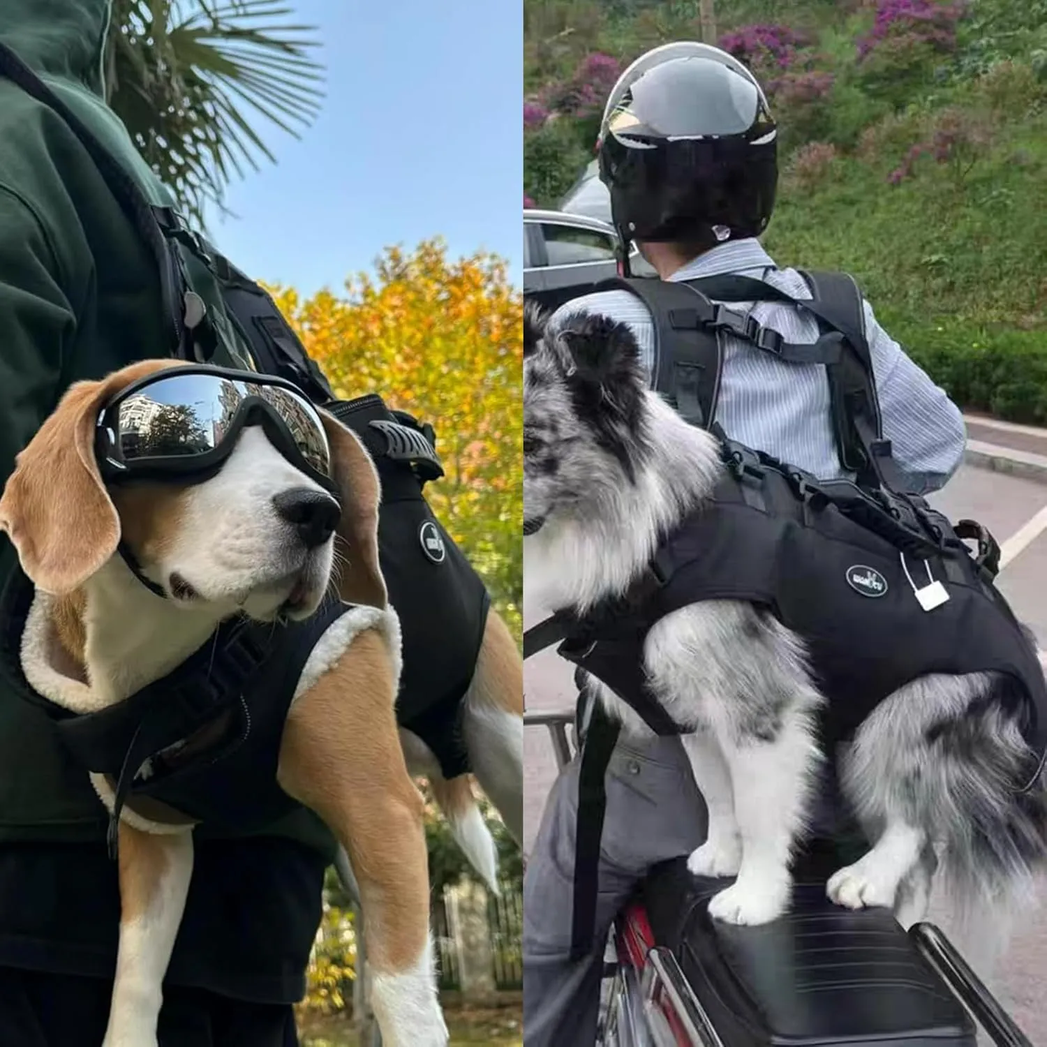 Dog Lift Harness Full Body Dog Backpack Harness Emergency Dog Backpack for Disabled, Old, Joint Injuries, Loss of Stability Dogs Small(33-66 LBS)