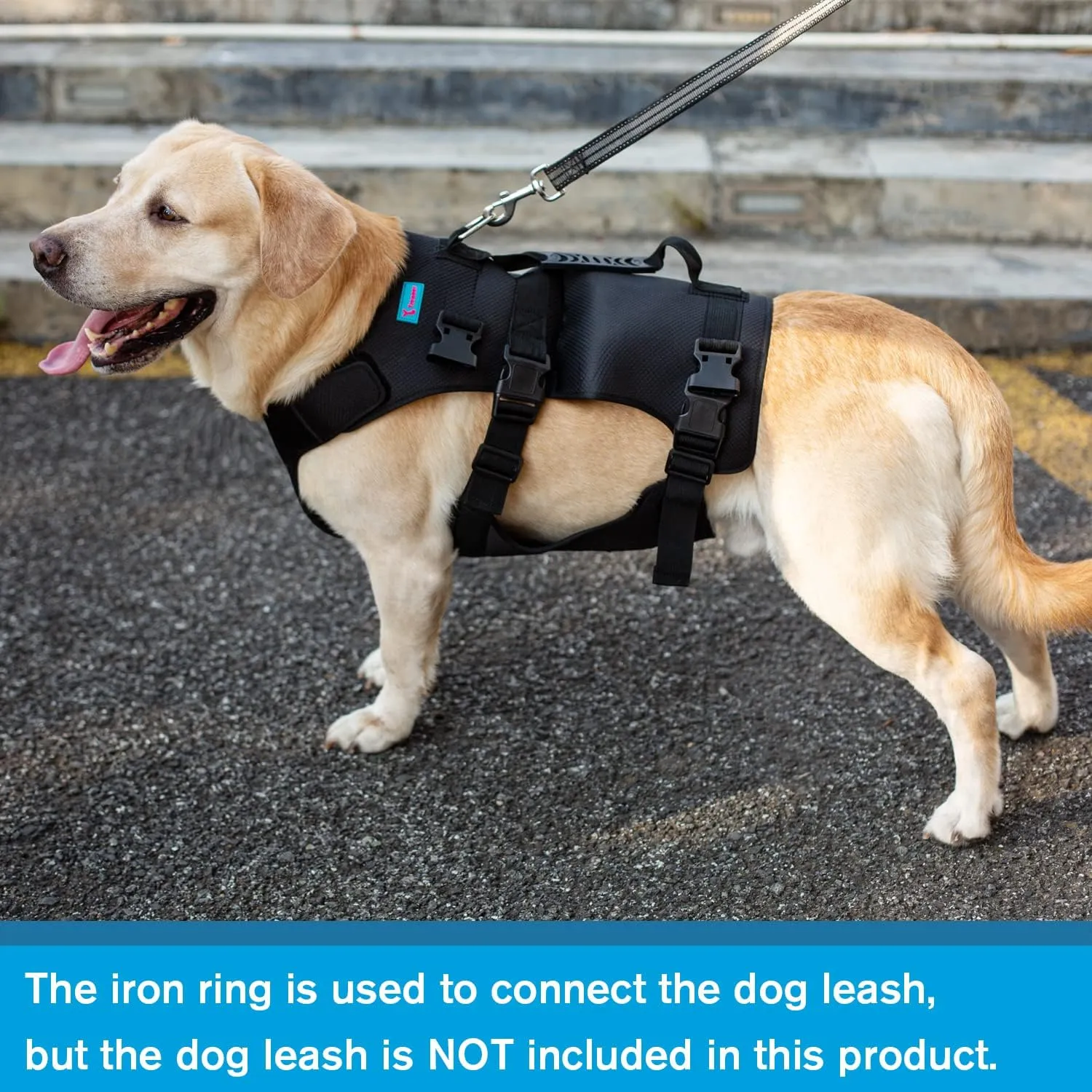 Dog Lift Harness, Rehabilitation Lifts Vest for Dogs, Support & Recovery Sling, Adjustable Breathable Lifting Straps for Old, Joint Injuries, Arthritis, Paralysis Dogs Walk (XL, Black)