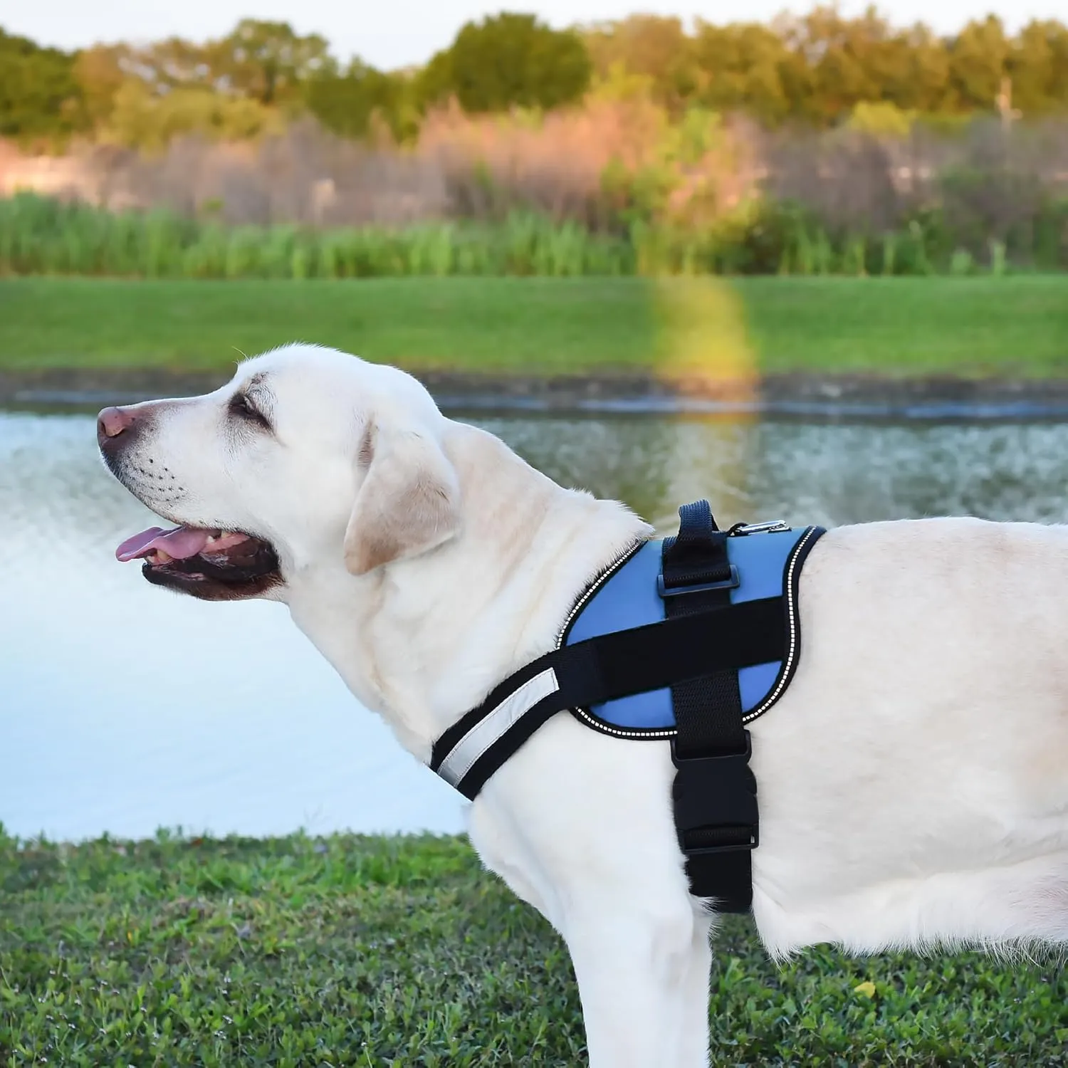 Dogline Dog Harness, Reflective No-Pull Adjustable Vest with Handle for Walking, Training, Breathable, No - Choke Harness for Small, Medium or Large Dogs Room for Patches Girth 27 to 34 in Cyan Blue