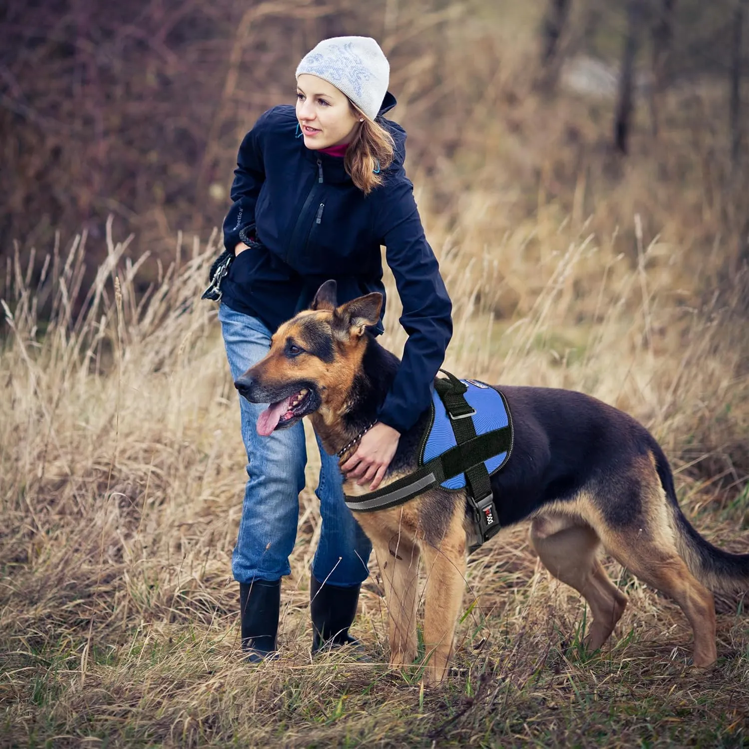 Dogline Dog Harness, Reflective No-Pull Adjustable Vest with Handle for Walking, Training, Breathable, No - Choke Harness for Small, Medium or Large Dogs Room for Patches Girth 27 to 34 in Cyan Blue