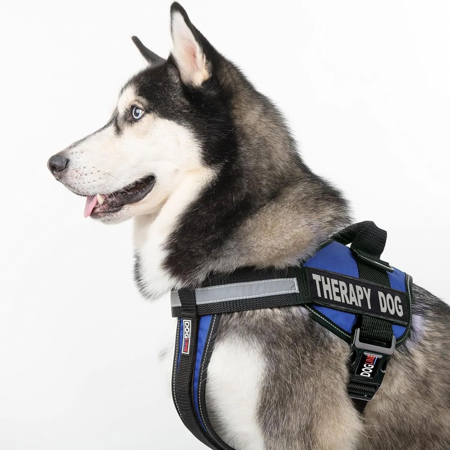 Dogline Unimax Multi-Purpose Vest Harness for Dogs and Removable Therapy Dog Patches X-Large 36 to 46" Blue