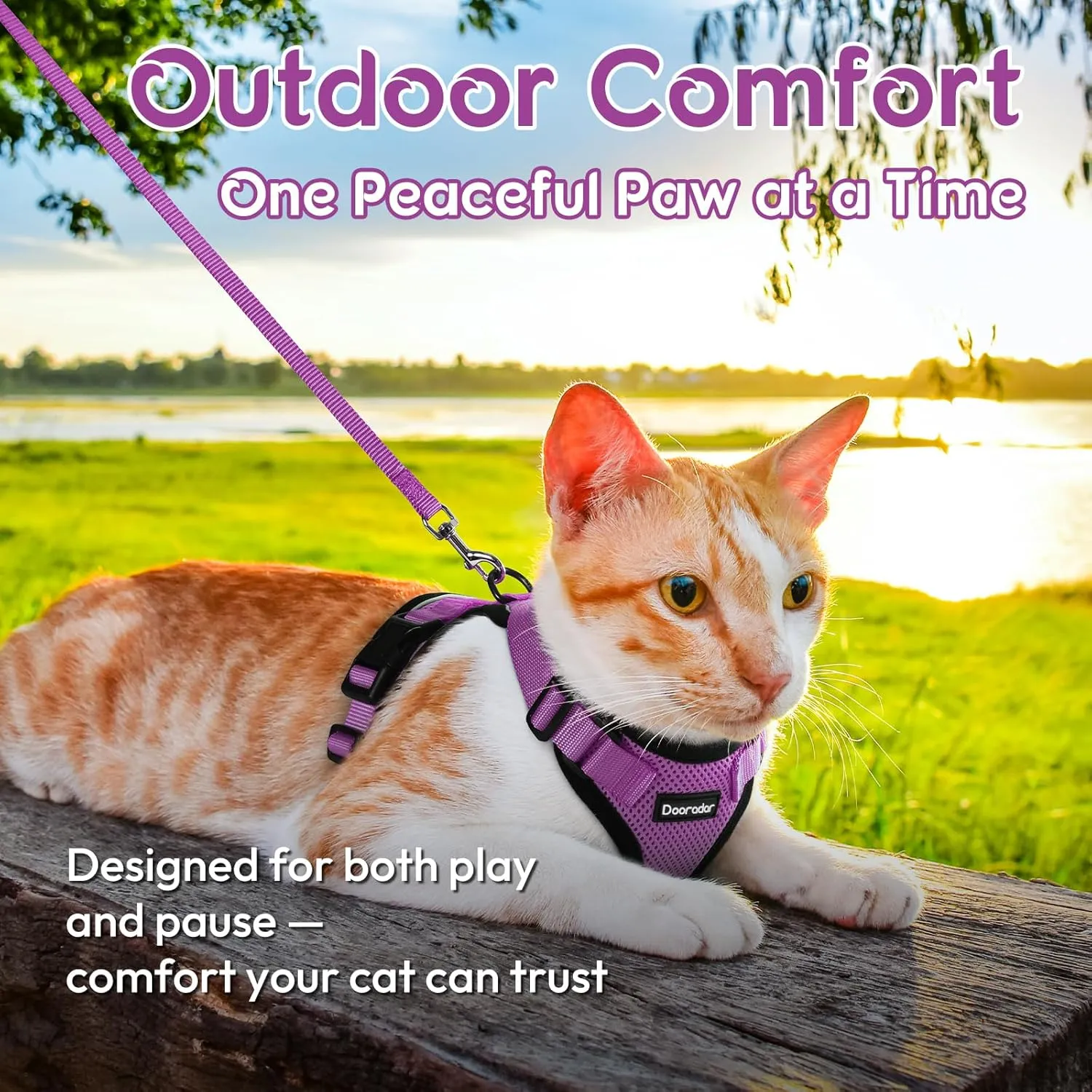 Dooradar Cat Harness and Leash Set, Escape Proof Safe Adjustable Kitten Vest Harnesses for Walking, Easy Control Soft Breathable Mesh Jacket with Reflective Strips for Cats, Purple, XS