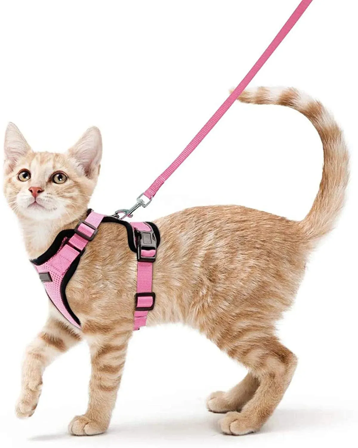Easy Control Soft Mesh Cat Harness